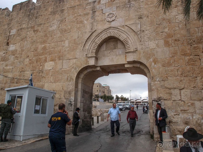 Ботанический сад Иерусалима и Стена Плача в праздничный день