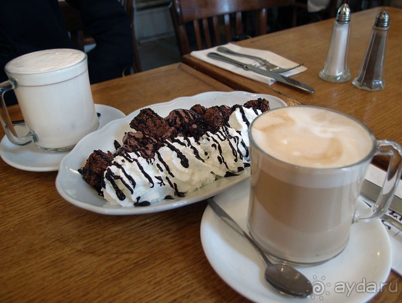 Ботанический сад Иерусалима и Стена Плача в праздничный день