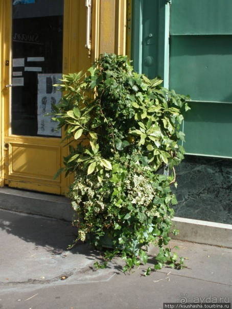 На многолюдных улицах Парижа