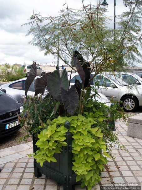 На многолюдных улицах Парижа