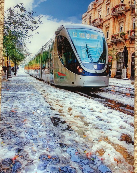 Иерусалимские мотивы, международный арт и французский вкус