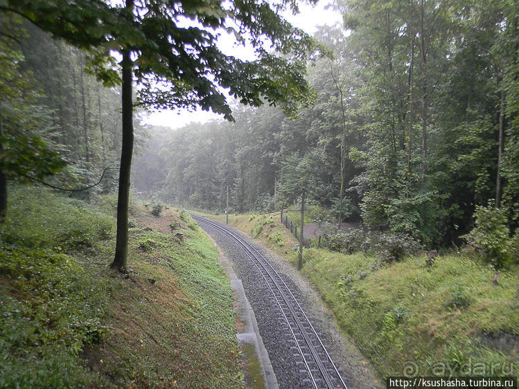 Победить Дракона