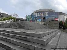 Победить Дракона