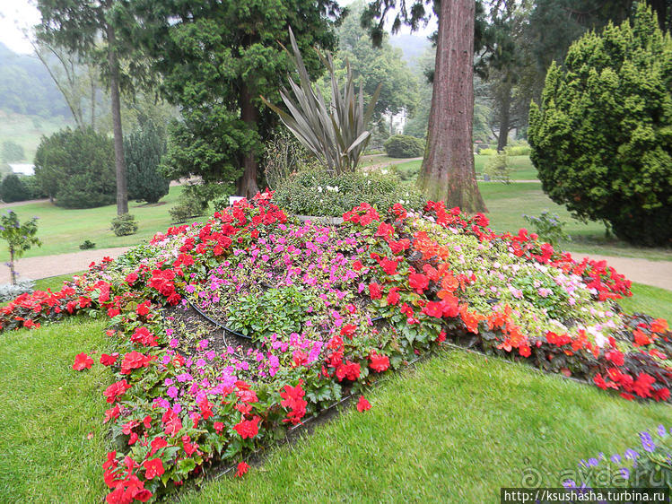 Победить Дракона
