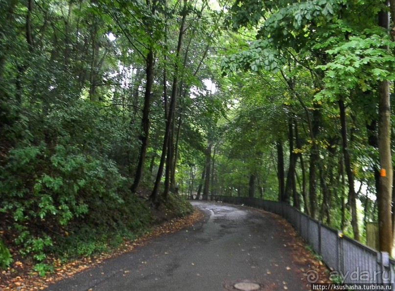 Победить Дракона