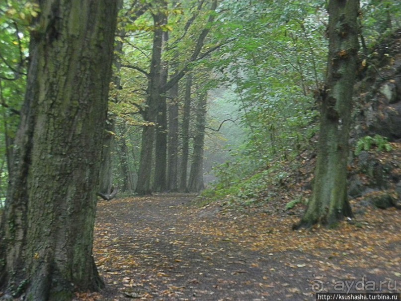 Победить Дракона