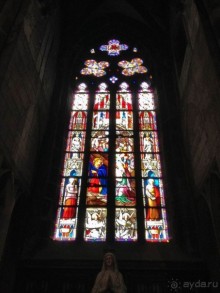 Юи. Радости, разочарования и философский подход