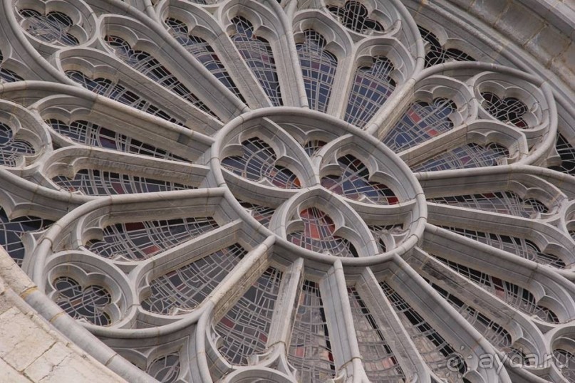 Юи. Радости, разочарования и философский подход