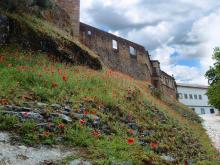 Последний оплот тамплиеров или Сказ о таинственном окне