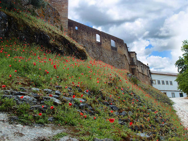 Последний оплот тамплиеров или Сказ о таинственном окне