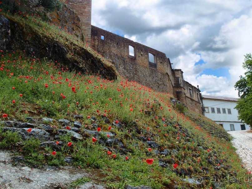 Последний оплот тамплиеров или Сказ о таинственном окне