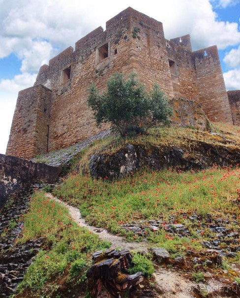 Последний оплот тамплиеров или Сказ о таинственном окне