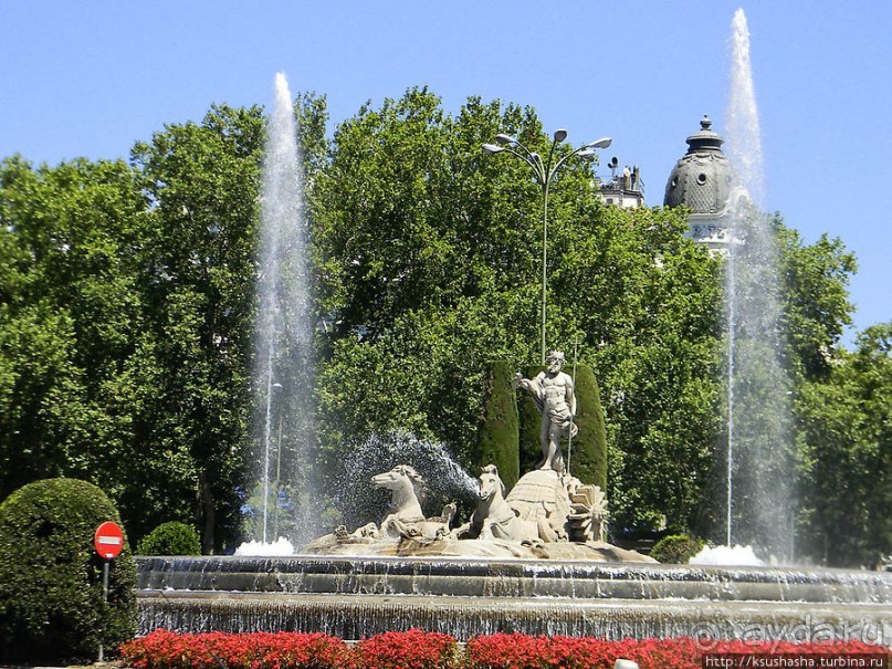 Магазин — музей