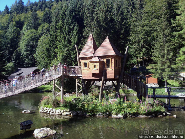 Штайнвазен-парк в подарок от Шварцвальда