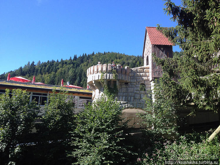 Штайнвазен-парк в подарок от Шварцвальда