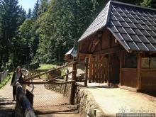 Штайнвазен-парк в подарок от Шварцвальда