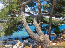 Дворец, который построил поэт