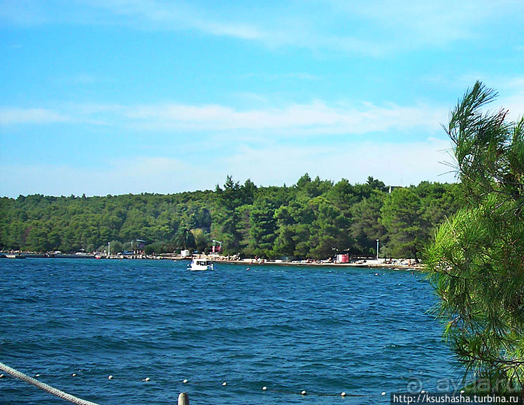 Дворец, который построил поэт