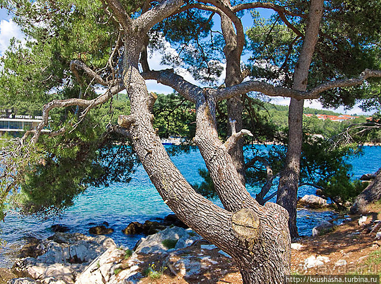 Дворец, который построил поэт