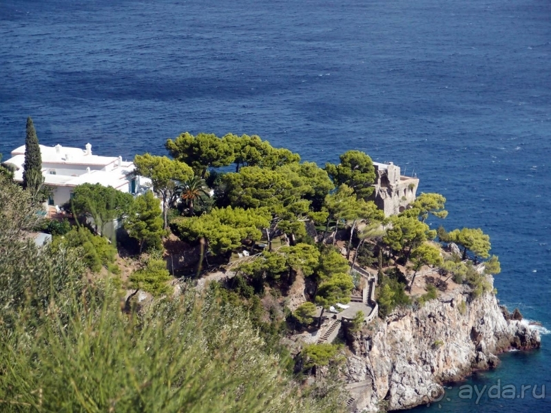 Альбом истории "Черепашьим шагом по сказочной дороге"