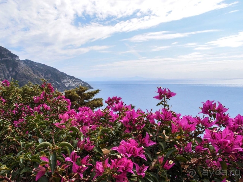 Альбом истории "Черепашьим шагом по сказочной дороге"
