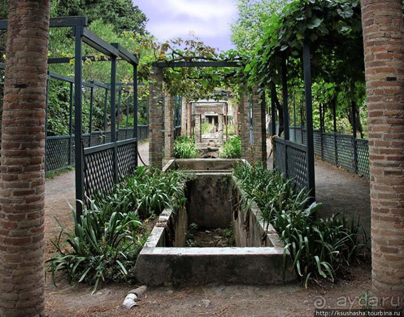 Искусство и история Помпеи