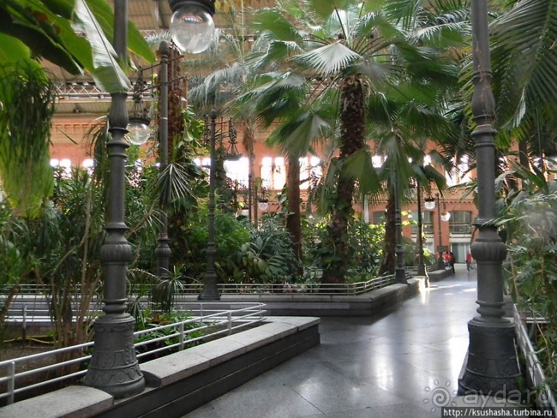 Первое знакомство с Мадридом