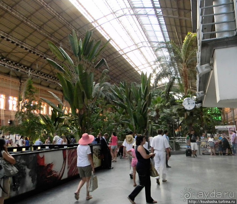 Первое знакомство с Мадридом