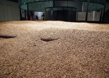 Guinness. Дойти до высшей точки