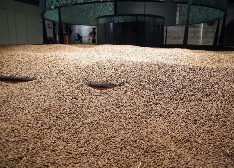 Guinness. Дойти до высшей точки