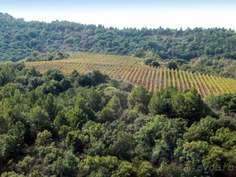 Эмоциональный пик. Кастельбуоно Эмоциональный пик. Кастельбуоно