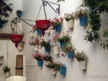 Кордова. От халифата до "инфьората"