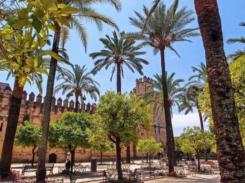 Кордова. От халифата до "инфьората"