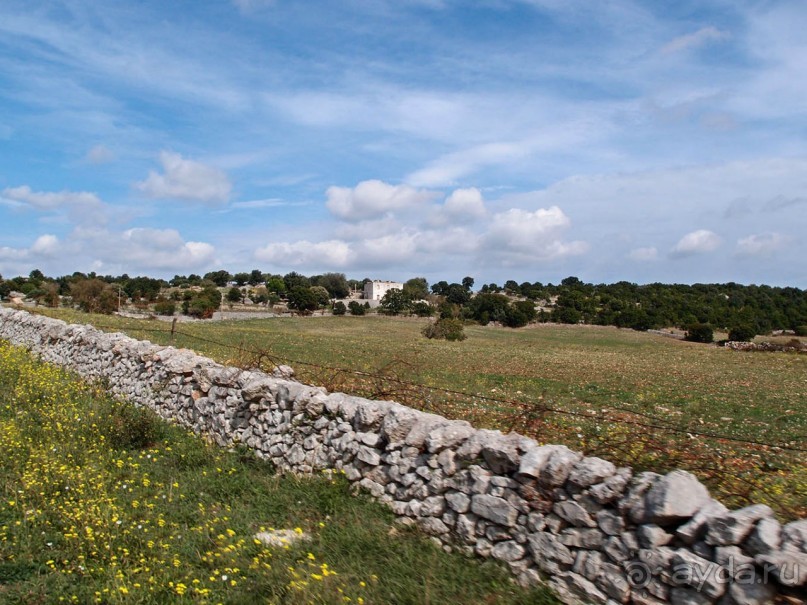 Вкус Апулии или Южанка без прикрас