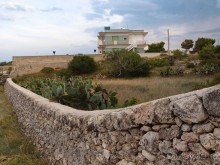 Вкус Апулии или Южанка без прикрас