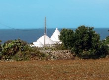 Вкус Апулии или Южанка без прикрас