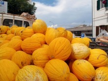 Вкус Апулии или Южанка без прикрас