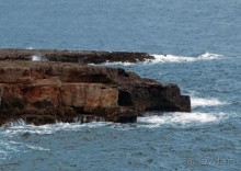 Вкус Апулии или Южанка без прикрас