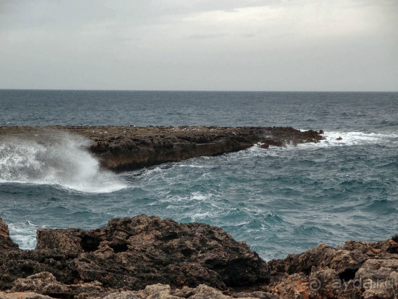 Вкус Апулии или Южанка без прикрас