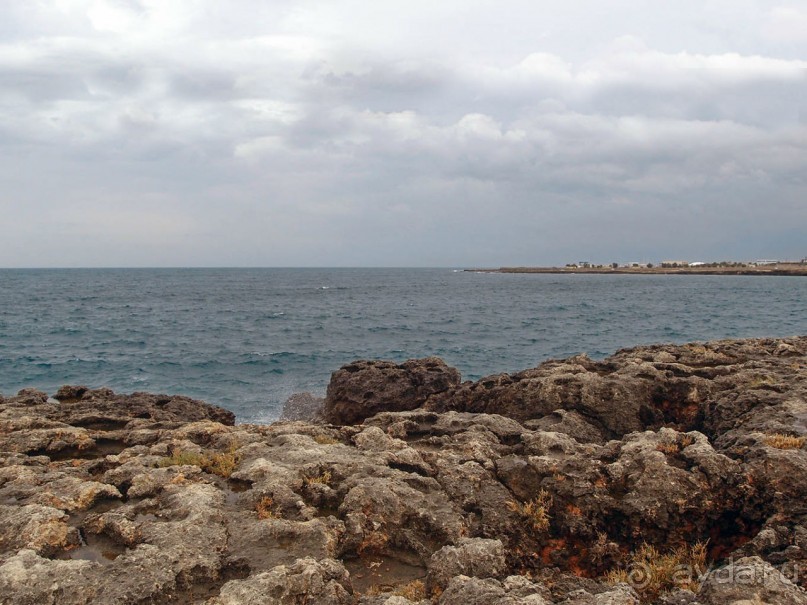 Вкус Апулии или Южанка без прикрас