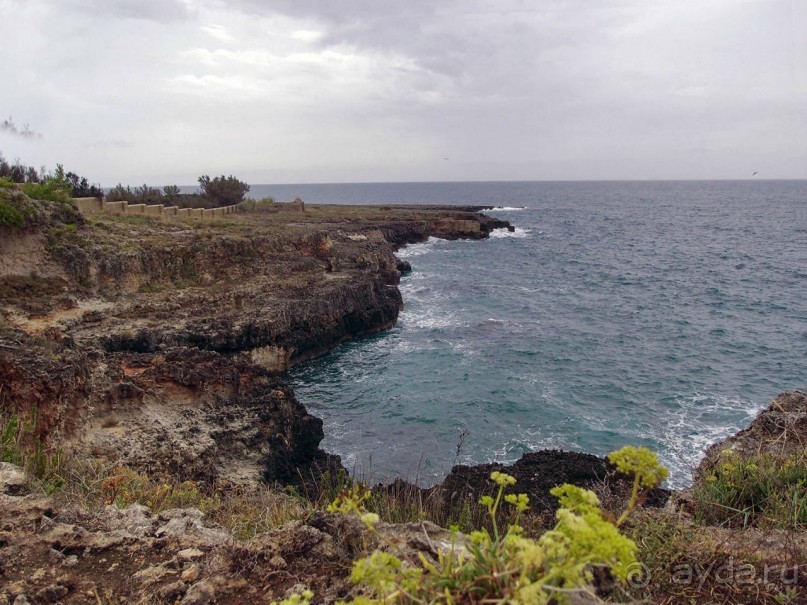 Вкус Апулии или Южанка без прикрас