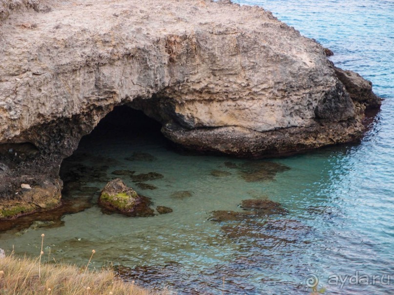 Вкус Апулии или Южанка без прикрас