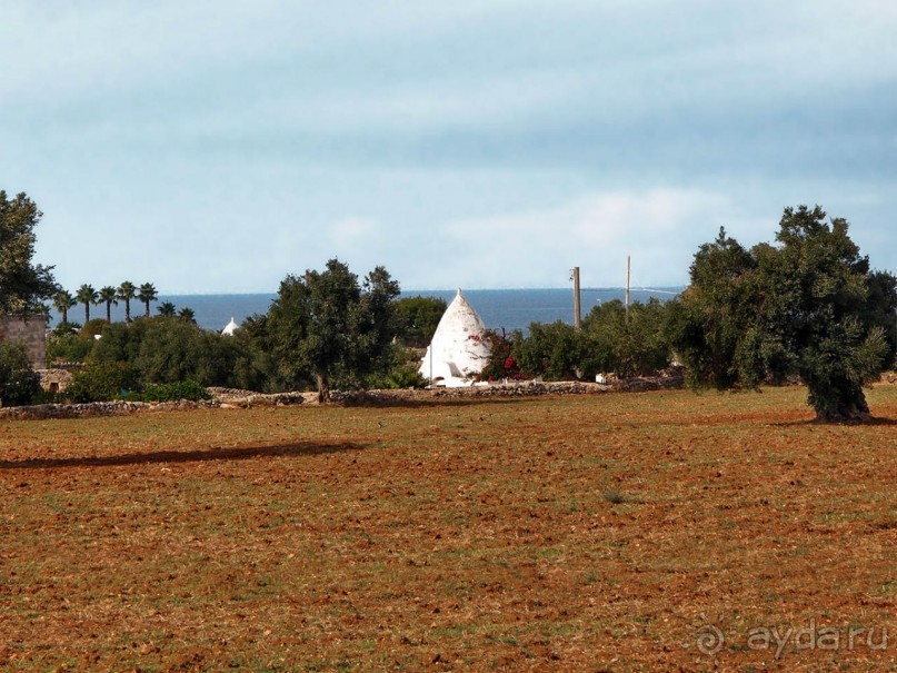 Вкус Апулии или Южанка без прикрас