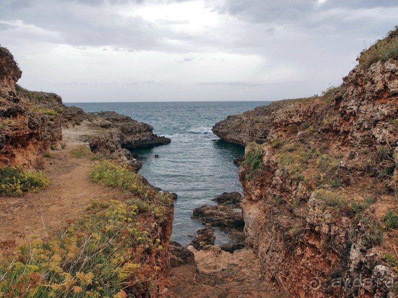 Вкус Апулии или Южанка без прикрас