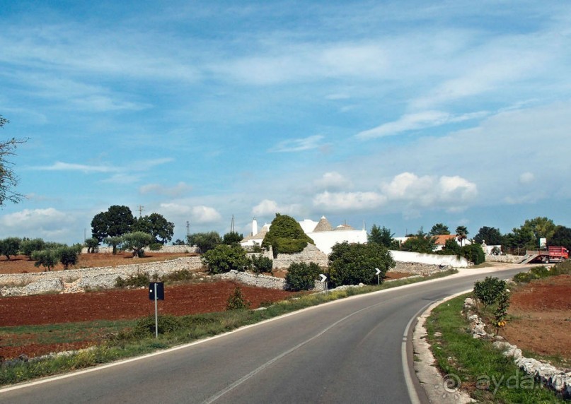 Вкус Апулии или Южанка без прикрас