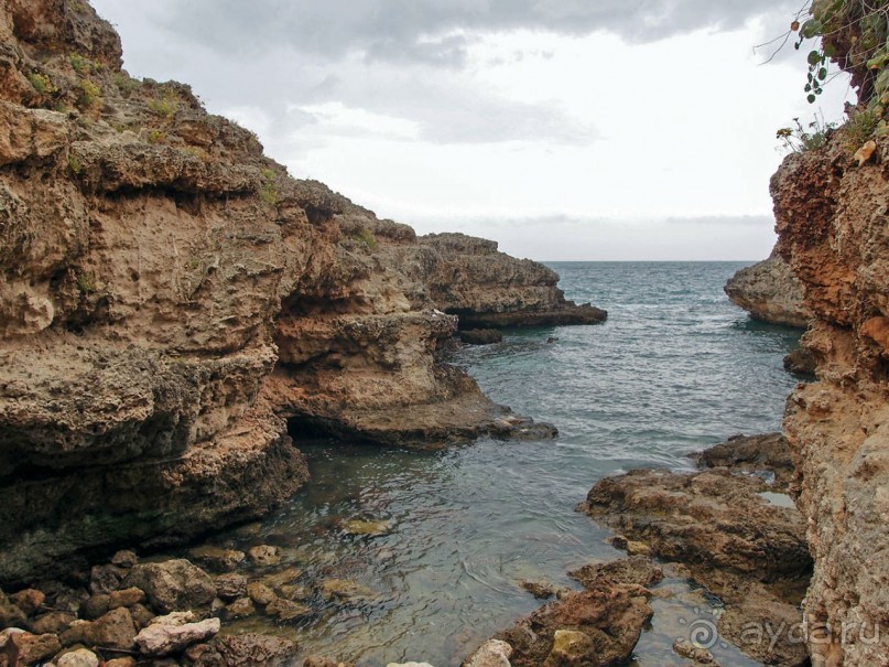 Вкус Апулии или Южанка без прикрас