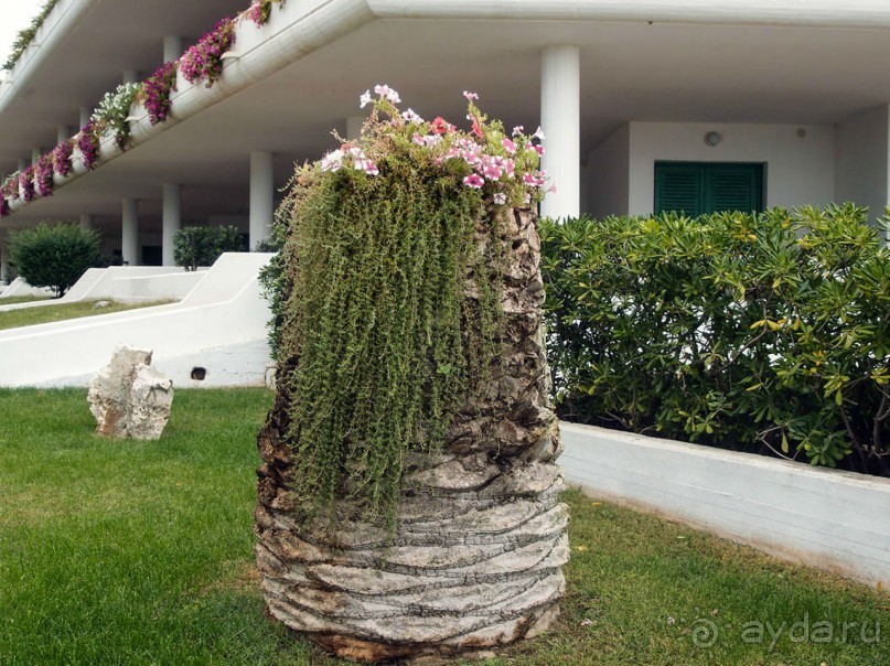 Вкус Апулии или Южанка без прикрас