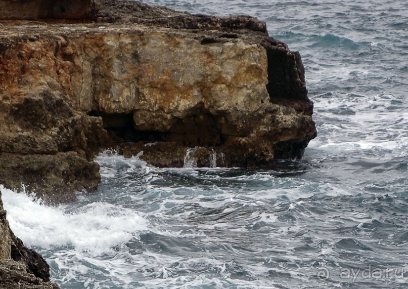 Вкус Апулии или Южанка без прикрас