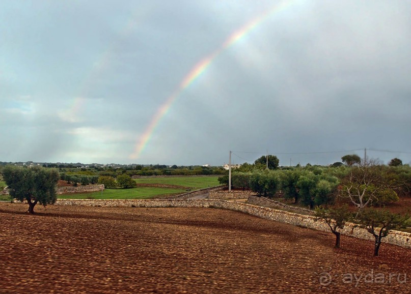 Вкус Апулии или Южанка без прикрас