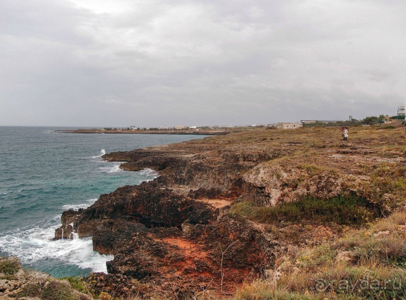 Вкус Апулии или Южанка без прикрас